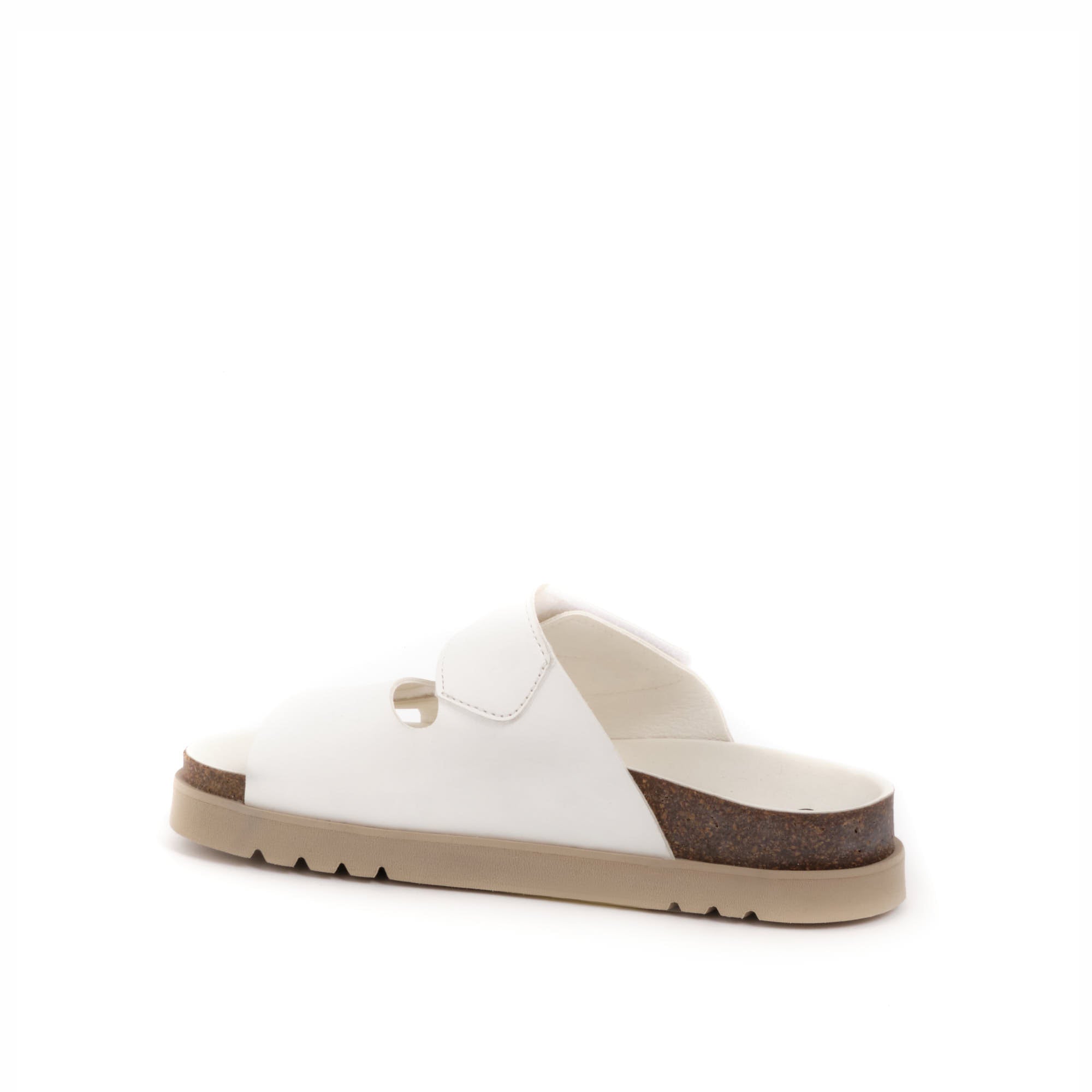 SIERRA 2 STRAPS